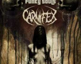 Until I Feel Nothing