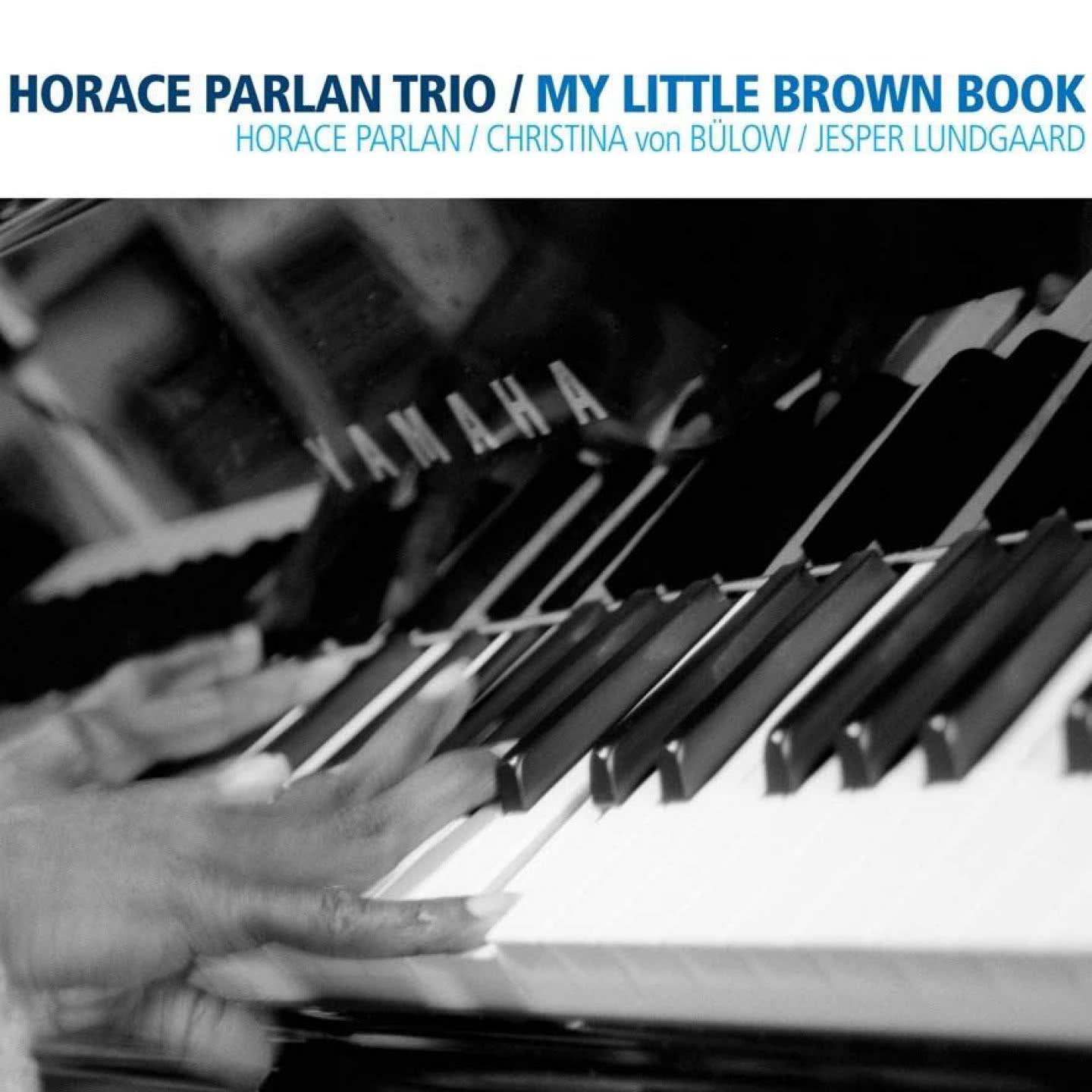 My Little Brown Book