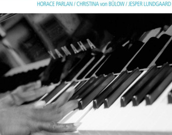 My Little Brown Book