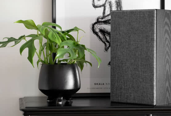 Nowe kolumny głośnikowe Dynavoice Classic