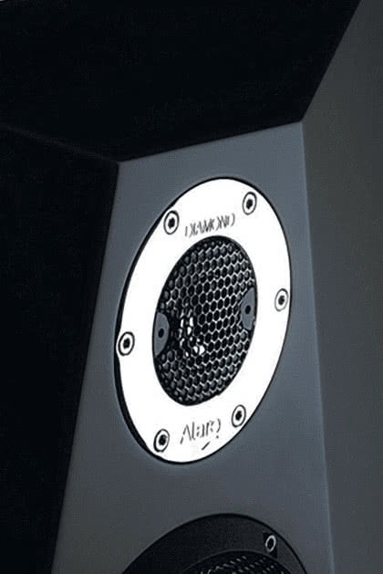 Wersja Remiga 2 Dia wyposażona jest w diamentową kopułkę Accutona.