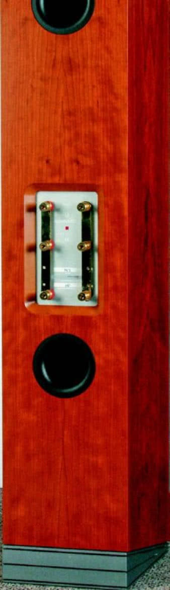 Bardzo duża płyta terminalu przyłączeniowego zawiera trzy pary zacisków - na starcie możliwy jest więc tri-wiring, dla większych gierojów tri-ampping, ale ukoronowaniem tego szalonego przedsięwzięcia jest dopiero opcja aktywnych zwrotnic, oferowanych przez Audiovectora. I wtedy życie ma sens.