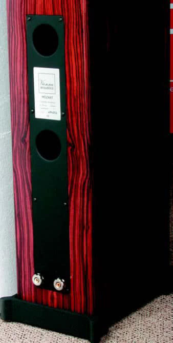 Środkowy pas tylnej ścianki
obejmuje dwa otwory
bas-refleks i parę zacisków przyłączeniowych.