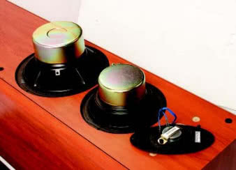 Ekranowanie od początku do końca - puszki na magnesach niskotonowego i niskośredniotonowego i neodymowy magnes wysokotonowego. Głośniki niskotonowy i nisko-średniotonowy współpracują w zakresie 50-100Hz, kopułka przejmuje przetwarzanie powyżej 3kHz.