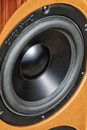 Aluminiowe membrany obowiązują we wszystkich przetwornikach Audio Physica, ale najmniej problemów sprawiają w głośnikach niskotonowych.