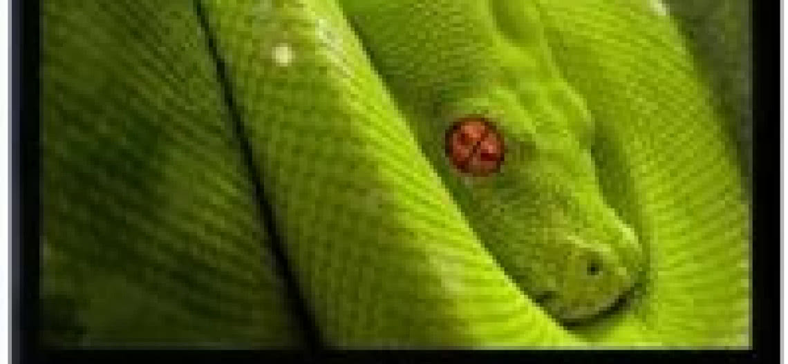 Promocje w Plazma City