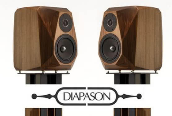 AUDIO-CONNECT dystrybutorem marki Diapason