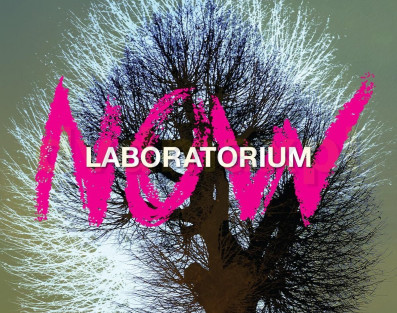 Płyty zespołu Laboratorium otrzymują...