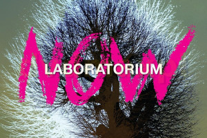 Płyty zespołu Laboratorium otrzymują...