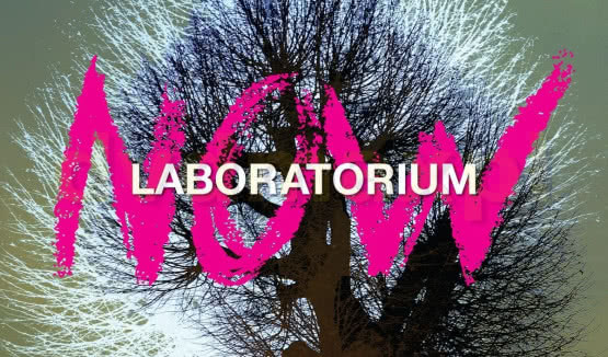 Płyty zespołu Laboratorium otrzymują...