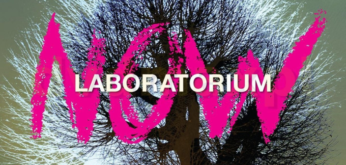 Płyty zespołu Laboratorium otrzymują...