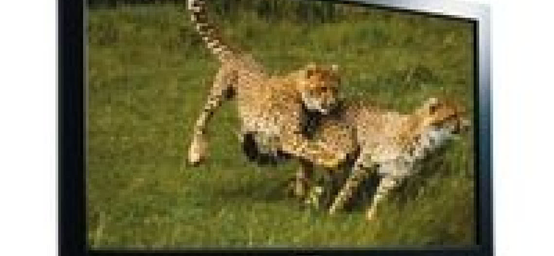 Promocje w DELTA AUDIO