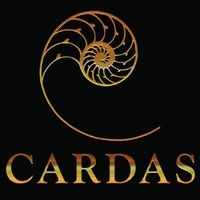 cardas-audio-logo_min